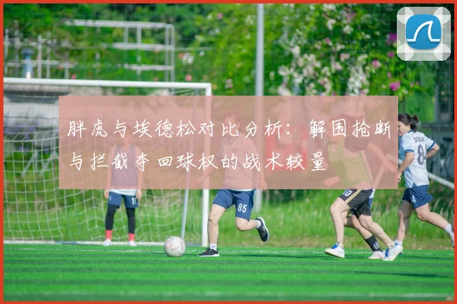 胖虎与埃德松对比分析：解围抢断与拦截夺回球权的战术较量