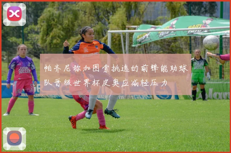 帕齐尼称加图索挑选的前锋能助球队晋级世界杯皮奥应减轻压力